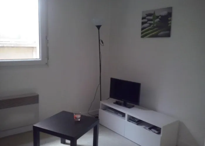 Rue Pietonne * Dijon